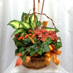 Fall-Harvest-Basket from Shaw Florists in Grand Rapids, MN