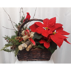 Woodland Basket from Shaw Florists in Grand Rapids, MN