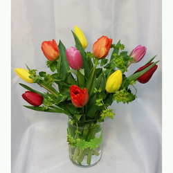 Tulips- Ten Vased from Shaw Florists in Grand Rapids, MN