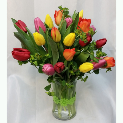 Tulips- Twenty Vased from Shaw Florists in Grand Rapids, MN