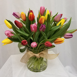 Tulips- Thirty Vased from Shaw Florists in Grand Rapids, MN