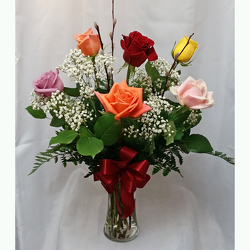 Half Dozen Roses Vased- Mixed from Shaw Florists in Grand Rapids, MN