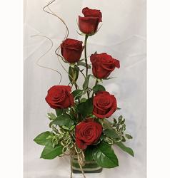 Half Dozen Red Roses- Stylized from Shaw Florists in Grand Rapids, MN