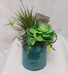 Carefree Succulent from Shaw Florists in Grand Rapids, MN