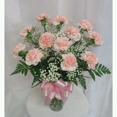 Classic Carnations-Pink from Shaw Florists in Grand Rapids, MN