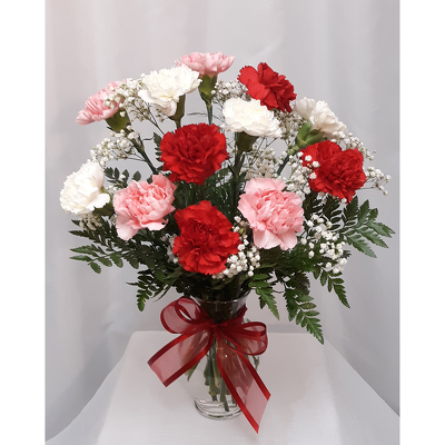 One Dozen Valentine Carnations from Shaw Florists in Grand Rapids, MN