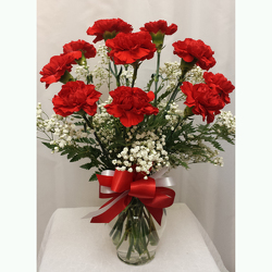 One Dozen Carnations from Shaw Florists in Grand Rapids, MN