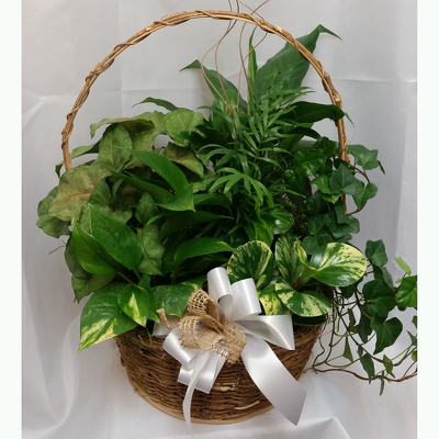 Euro-Garden Basket from Shaw Florists in Grand Rapids, MN
