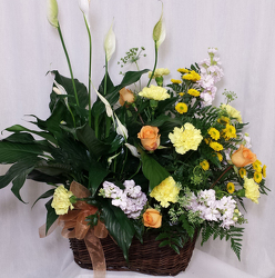 Twice as Nice Combination Basket from Shaw Florists in Grand Rapids, MN