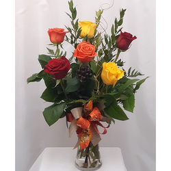 Half Dozen Roses Arranged - Fall Colors from Shaw Florists in Grand Rapids, MN