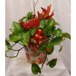Pumpkin Patch Pothos from Shaw Florists in Grand Rapids, MN