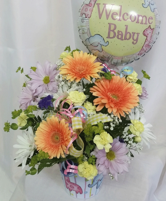 Welcome Baby from Shaw Florists in Grand Rapids, MN